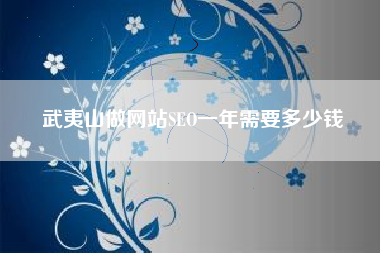 武夷山做网站SEO一年需要多少钱