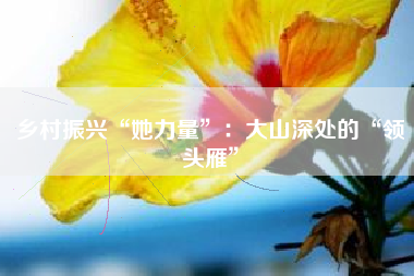 乡村振兴“她力量”：大山深处的“领头雁”