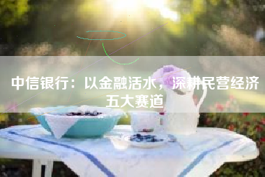 中信银行：以金融活水，深耕民营经济五大赛道