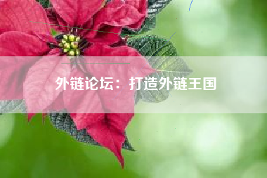 外链论坛：打造外链王国